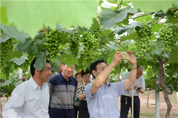 省專家組來沭現(xiàn)場考核教育服務“三農(nóng)”高水平示范基地