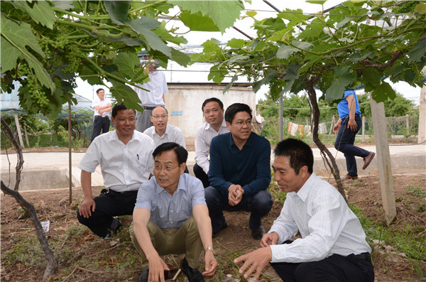 省專家組來沭現(xiàn)場考核教育服務“三農(nóng)”高水平示范基地